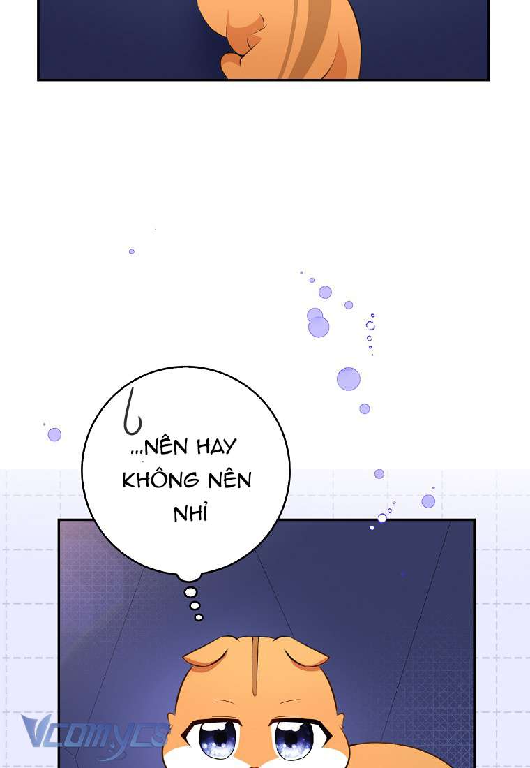 Sóc Con Tài Năng Chap 5 - Trang 2