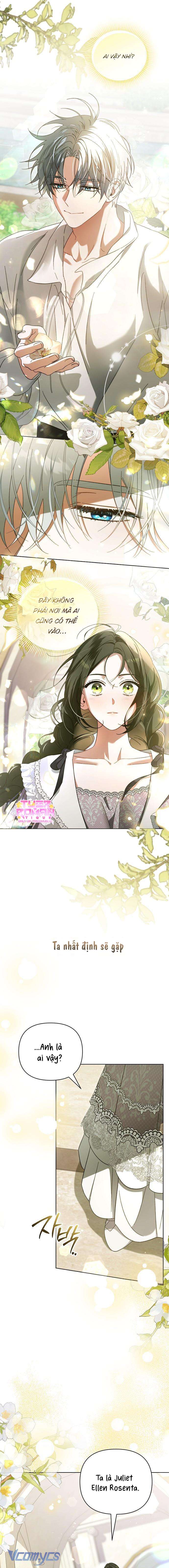 Dành Cho Nàng Juliet Xinh Đẹp Chapter 1 - Trang 4