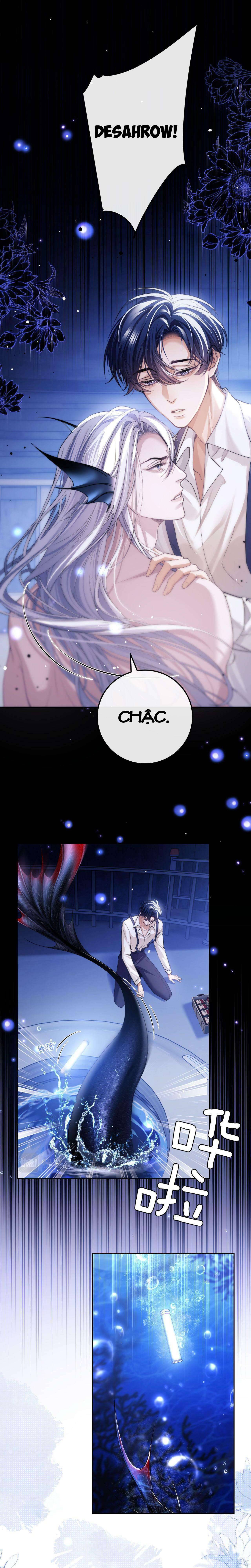 Nhân Ngư Desharow Chapter 5 - Next Chapter 6