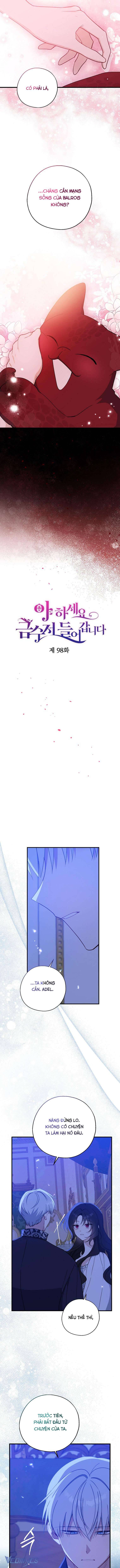 A Nào, Ngậm Thìa Vàng Nhé? Chap 98 - Next Chap 99