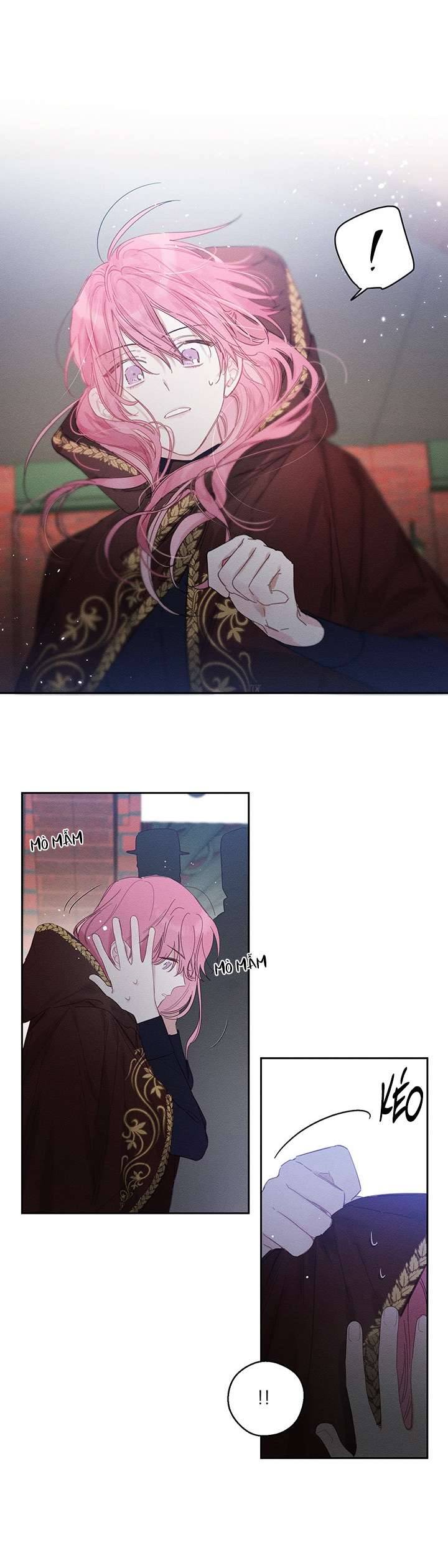 Trước Tiên Phải Giấu Em Trai Cái Đã! Chap 8 - Trang 2