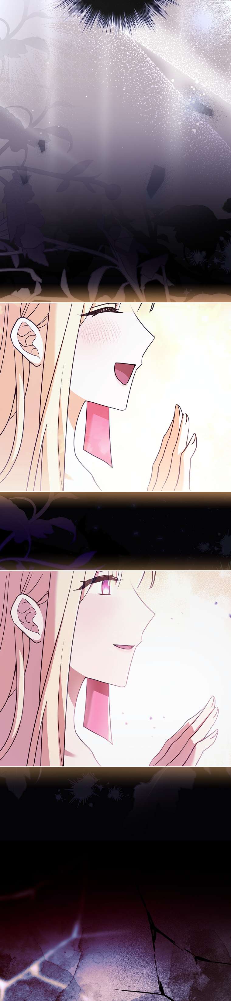 Chồng Ơi, Tại Sao Chúng Ta Không Thể Ly Hôn? Chapter 11 - Next Chapter 12