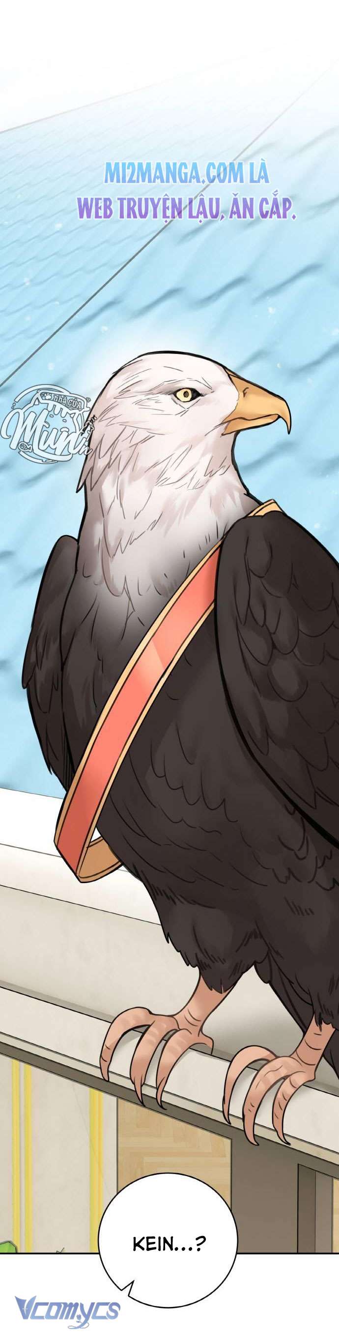 Nhật Ký Tuần Trăng Mật Của Phù Thủy Và Rồng Chapter 49 - Trang 4