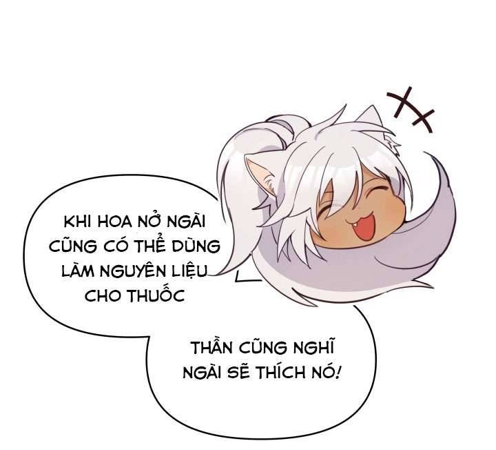 Người Bảo Hộ Của Bạo Quân Là Ma Nữ Tàn Độc Chap 15 - Trang 4