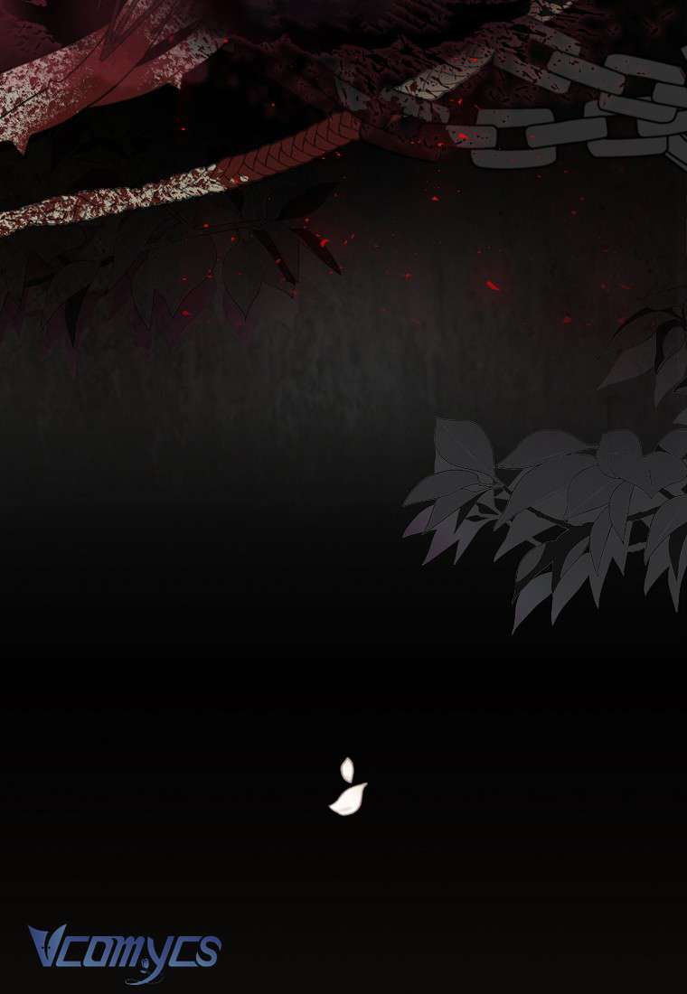 Sóc Con Tài Năng Chap 1 - Trang 2