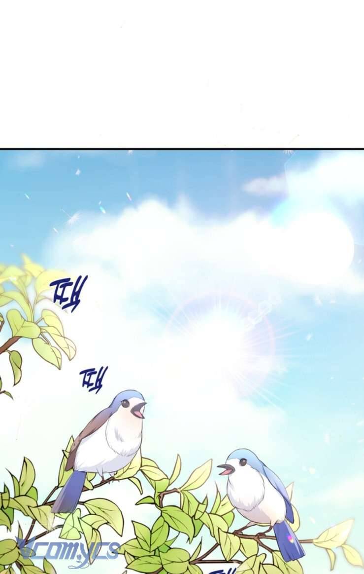 Công Chúa Bé Con Hạng S Thật Mạnh Chapter 5 - Trang 4