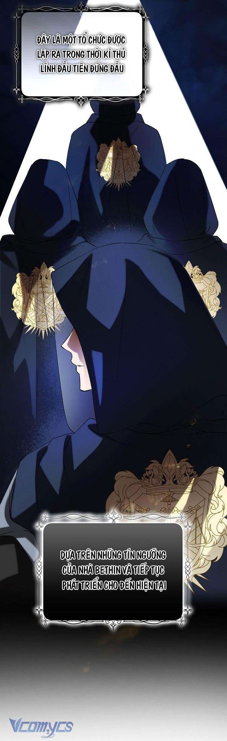 Các Nam Chính Đã Bị Nữ Phụ Cướp Mất Chap 4 - Trang 3