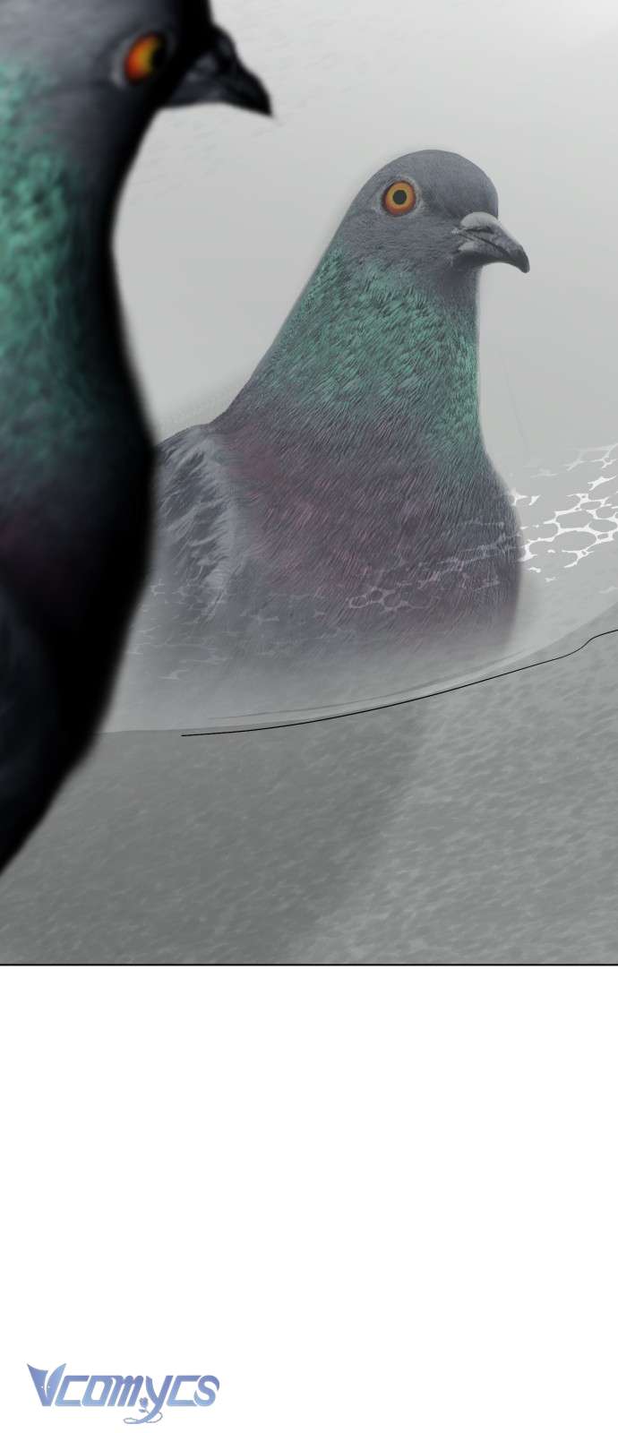 Bồ Câu Lee Heon-Seo Của Quận Seongbuk Chap 1 - Trang 2