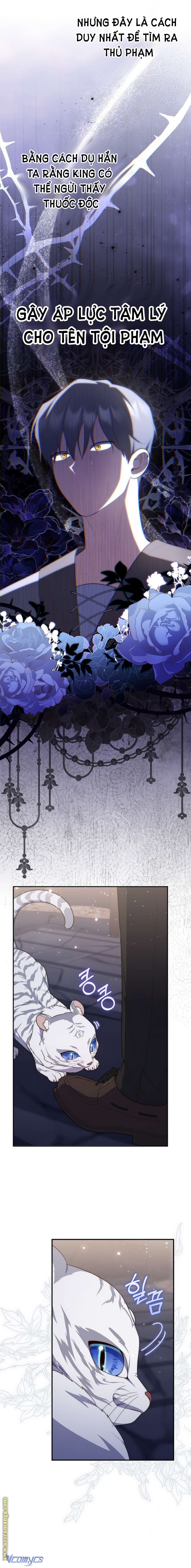 Nàng Công Chúa Tiên Tri Chapter 77 - Trang 4