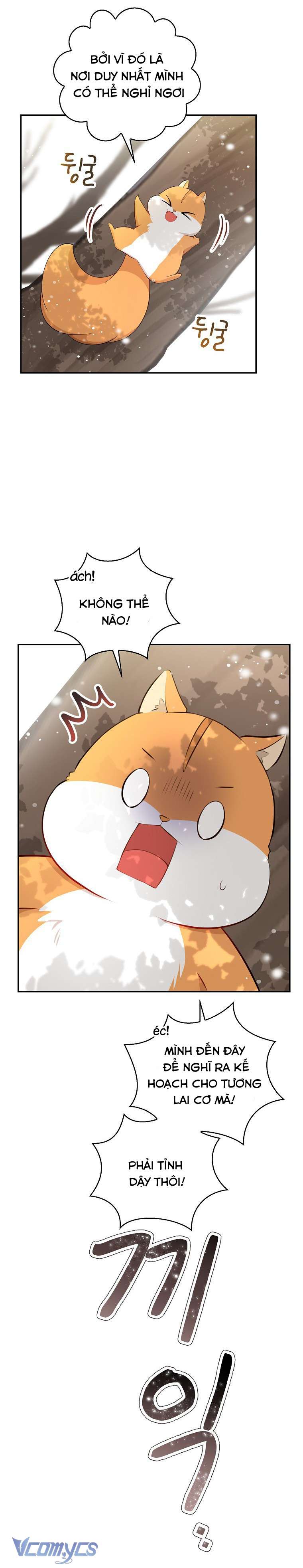 Sóc Con Tài Năng Chap 22 - Trang 2