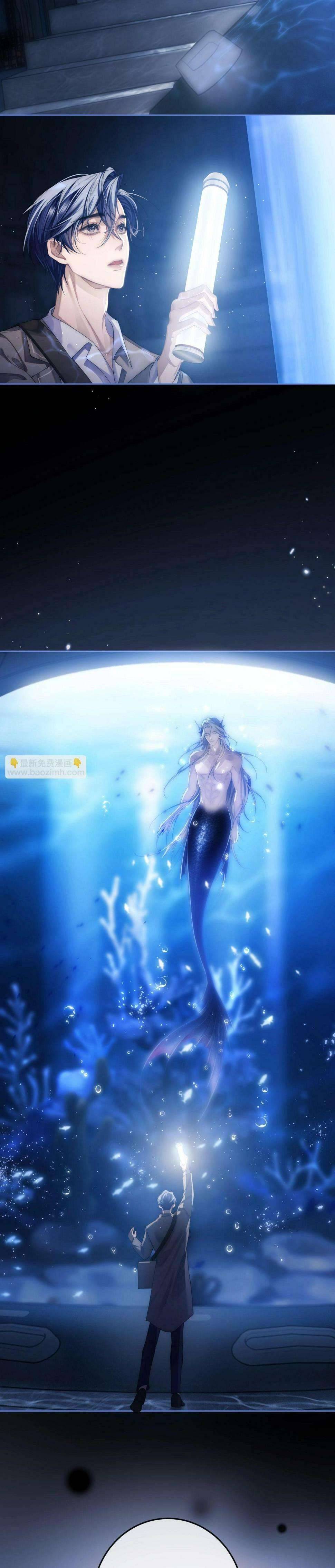 Nhân Ngư Desharow Chapter 2 - Next Chapter 3