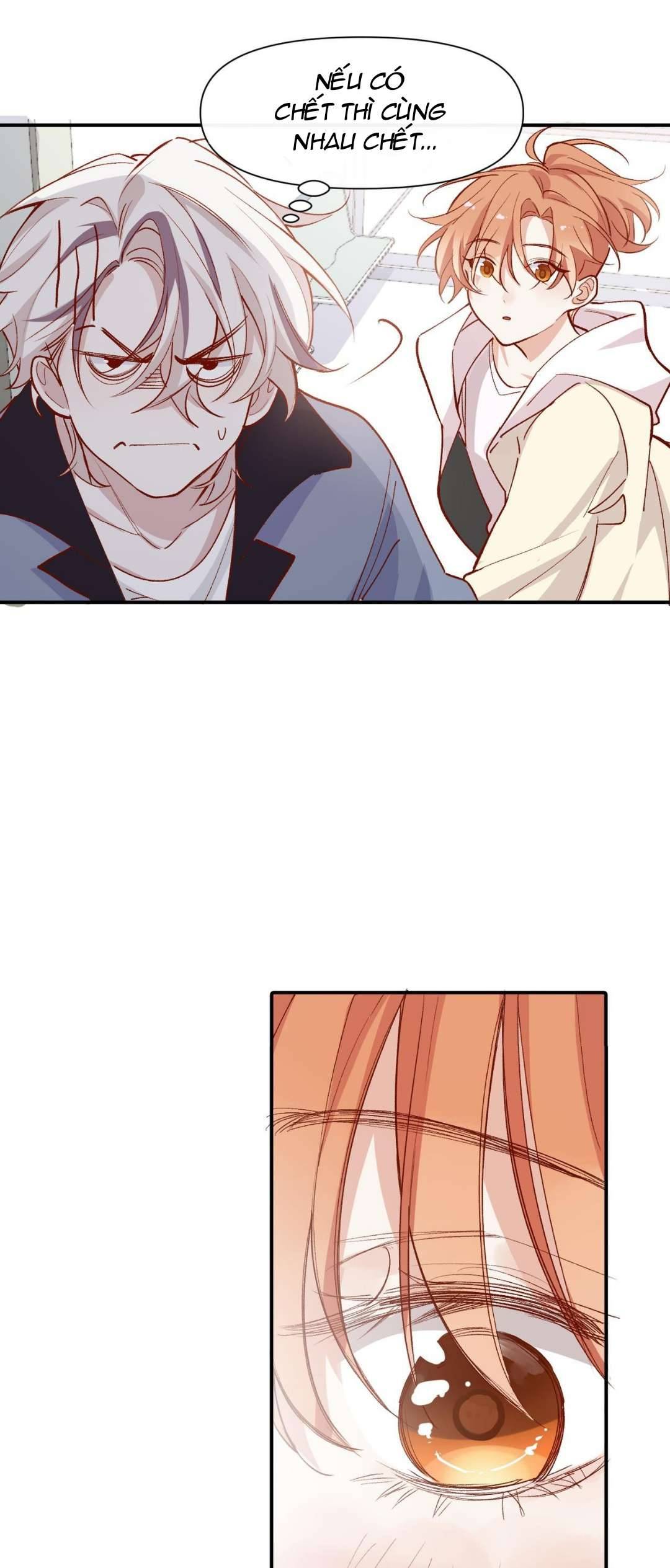 Mười năm sau, tôi kết hôn với kẻ thù không đội trời chung Chap 48 - Next Chap 49