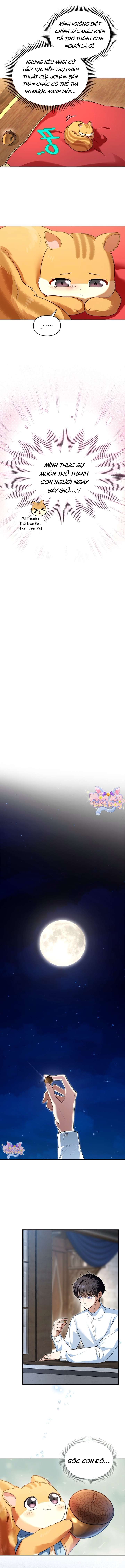 [END SS1] Trở Thành Sóc Nhỏ Của Kẻ Phản Diện Chap 3 - Trang 2