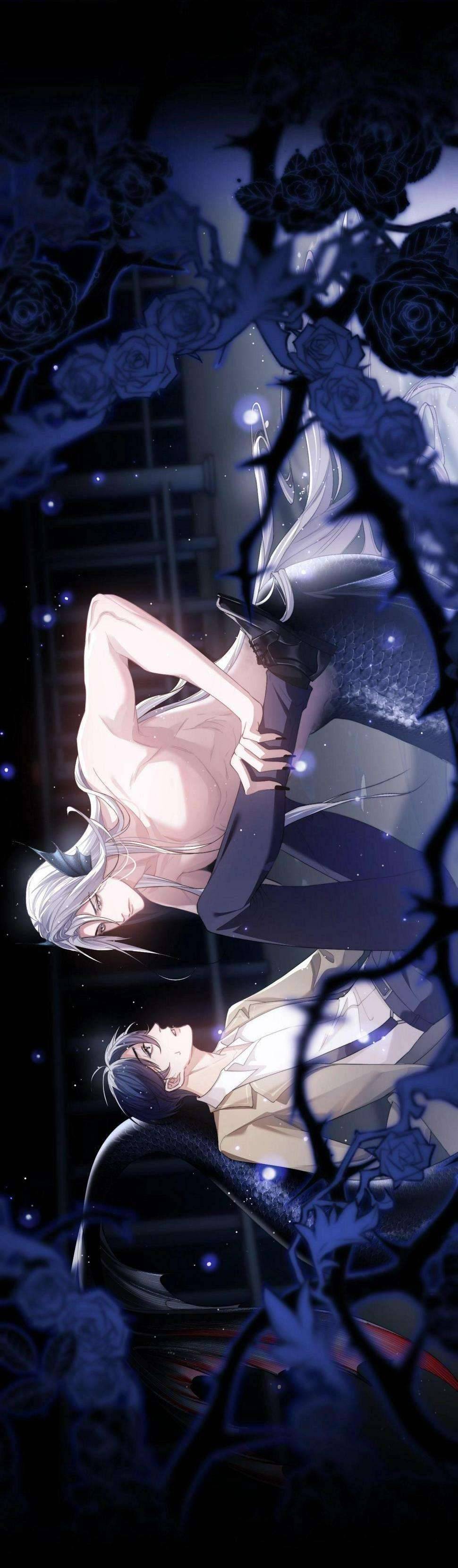 Nhân Ngư Desharow Chapter 3 - Next Chapter 4