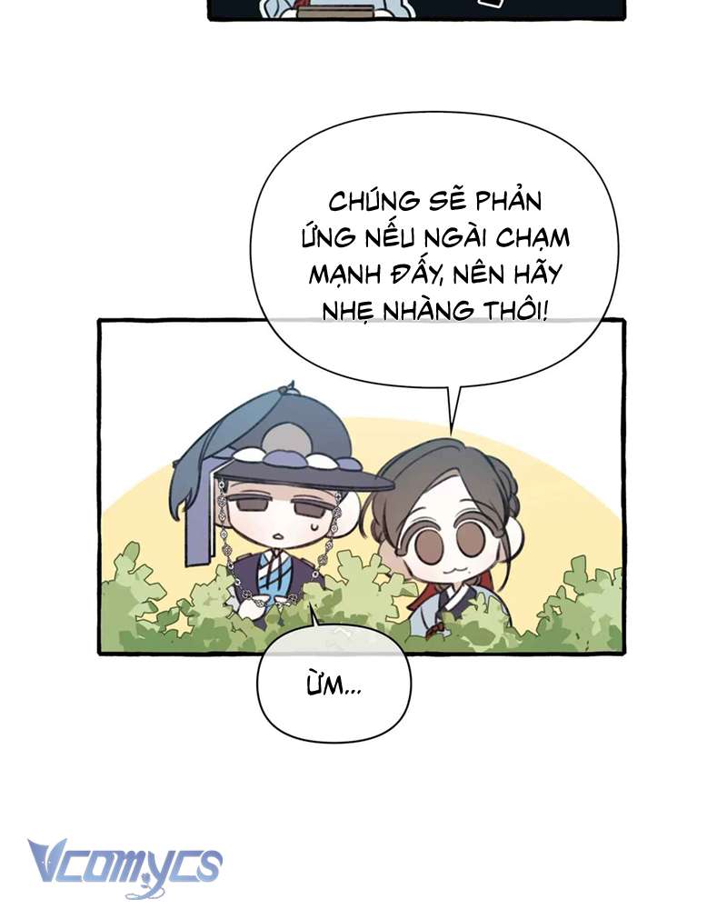 Chuyện Tình Hoa Lưu Ly Chap 3 - Trang 2