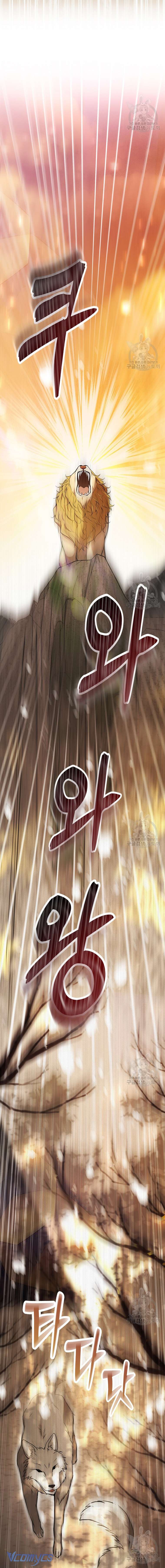 Sóc Con Tài Năng Chap 61 - Trang 2