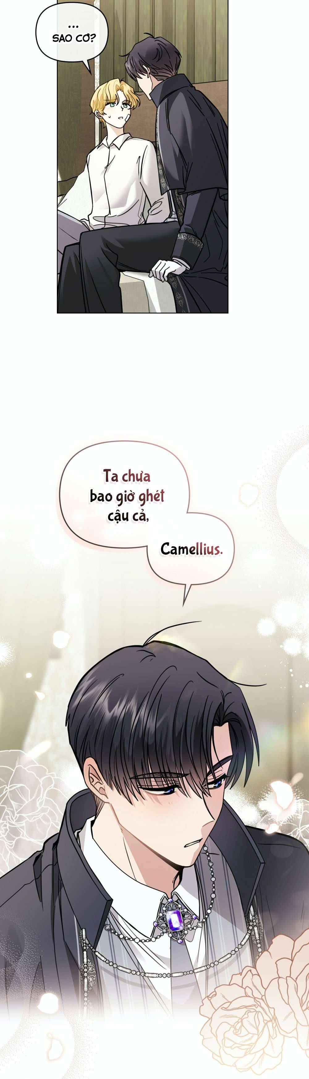 Tìm Lại Camellia Chapter 51 - Next Chapter 52
