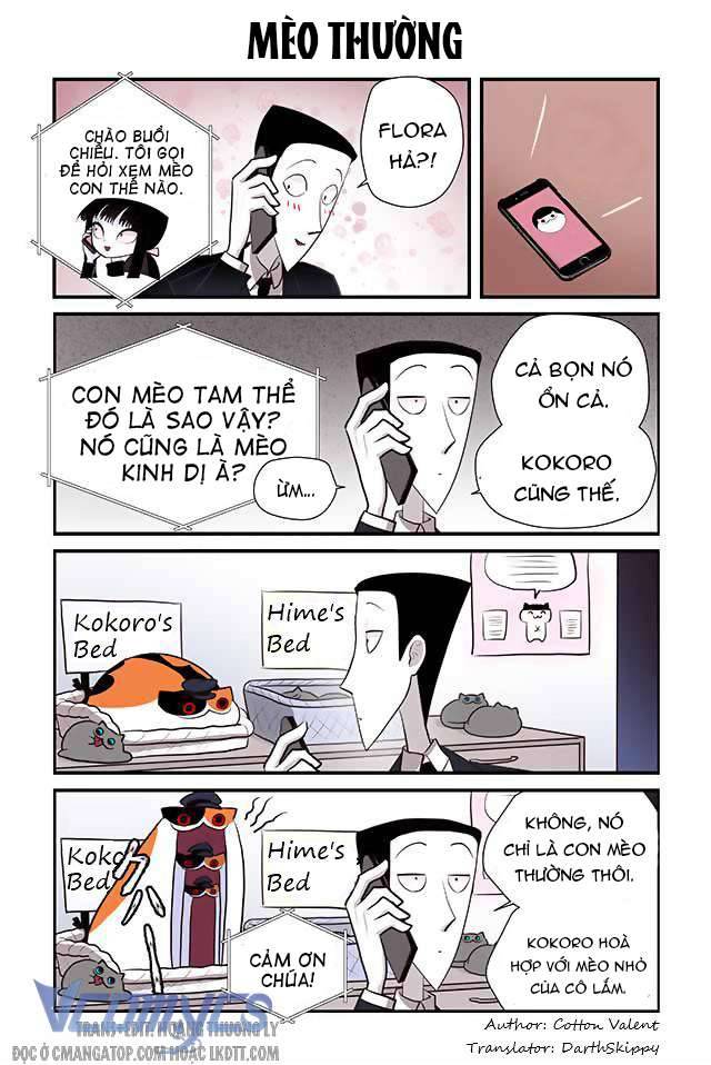 Creepy Cat 96 - Next 120