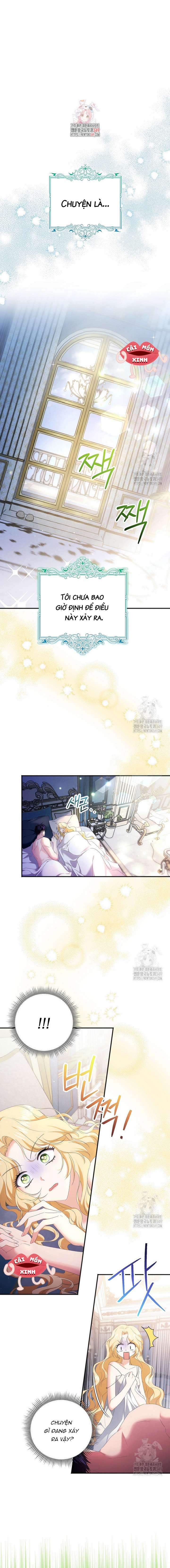 Không Cần Sự Ám Ảnh Của Bạo Chúa Chapter 1 - Trang 4