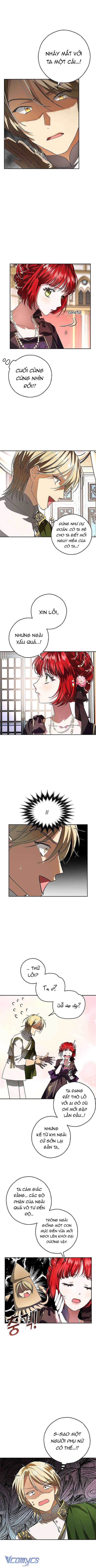 Chợ Review Nhà Họ Hoàng Chap Ta - Next Chap Tộc