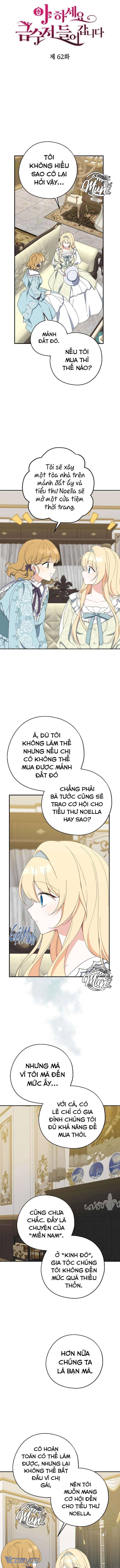 A Nào, Ngậm Thìa Vàng Nhé? Chap 62 - Next Chap 63