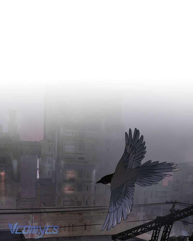 Ác Chi Hoàn Chapter 5 - Trang 4