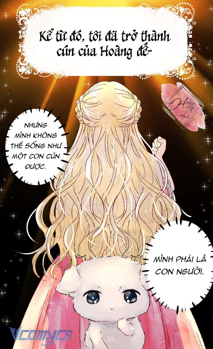 Chợ Review Nhà Họ Hoàng Chap Đế - Next 