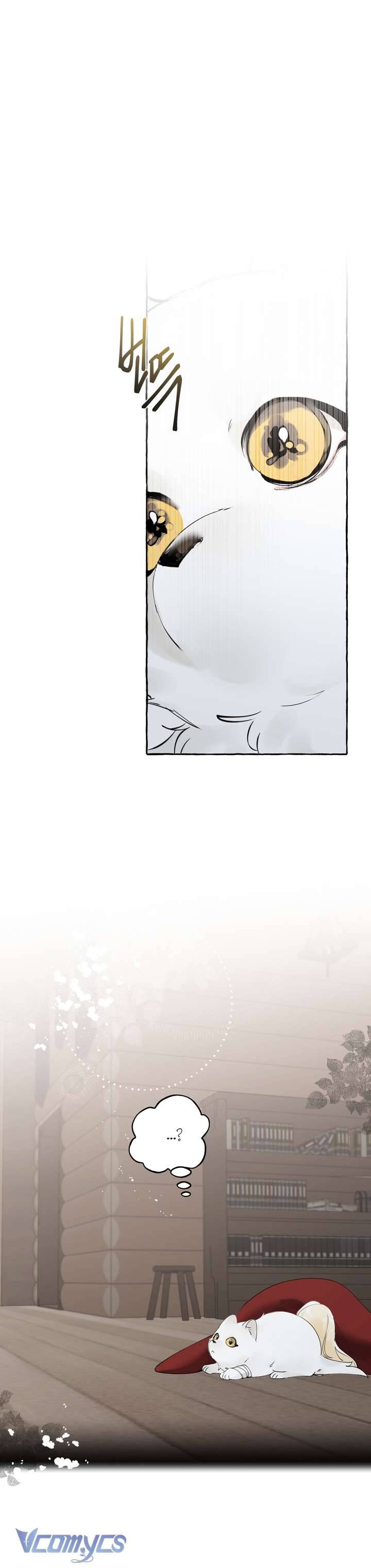 [18+] Ranh Giới Giữa Xuân Và Đông Chap 5 - Next Chap 6