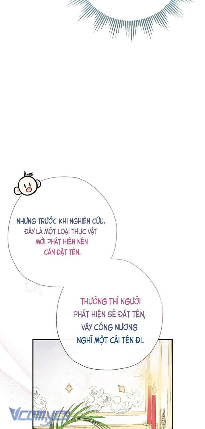 Tiểu Thư Tích Tiền Đi Bụi Chapter 81 - Trang 4