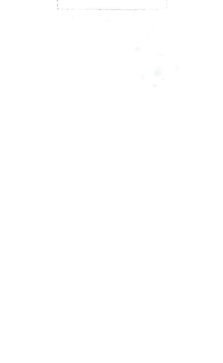 Cẩn Thận Với Các Anh Trai Đấy! Chap 50 - Trang 2