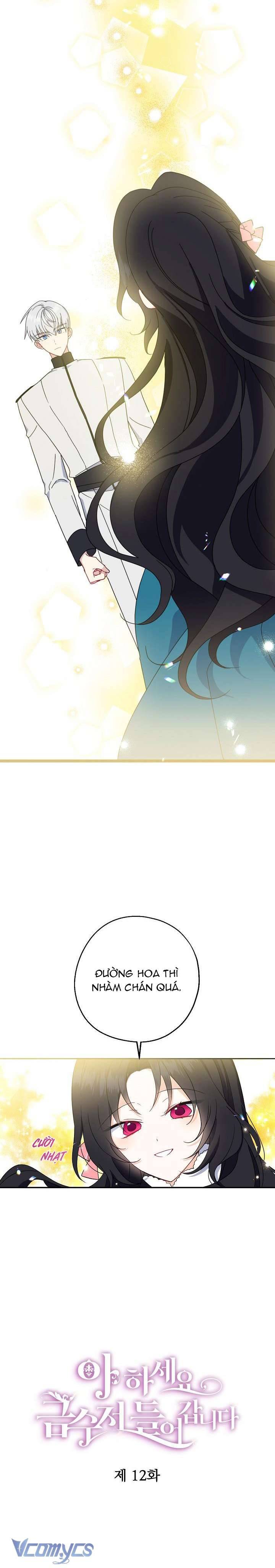 A Nào, Ngậm Thìa Vàng Nhé? Chap 12 - Next Chap 13