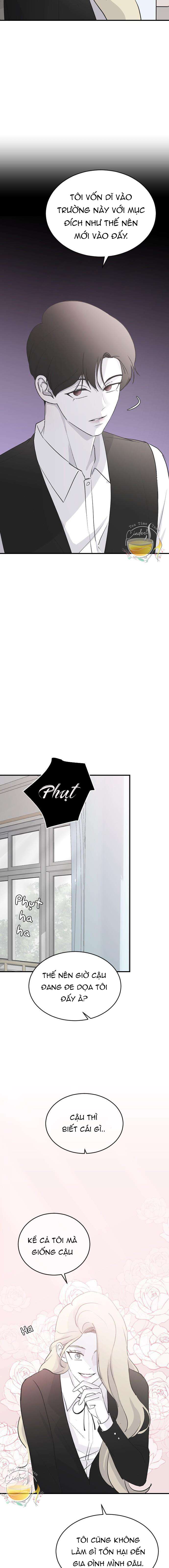 Ba Anh Trai Cực Phẩm Của Tôi Chap 59 - Trang 3