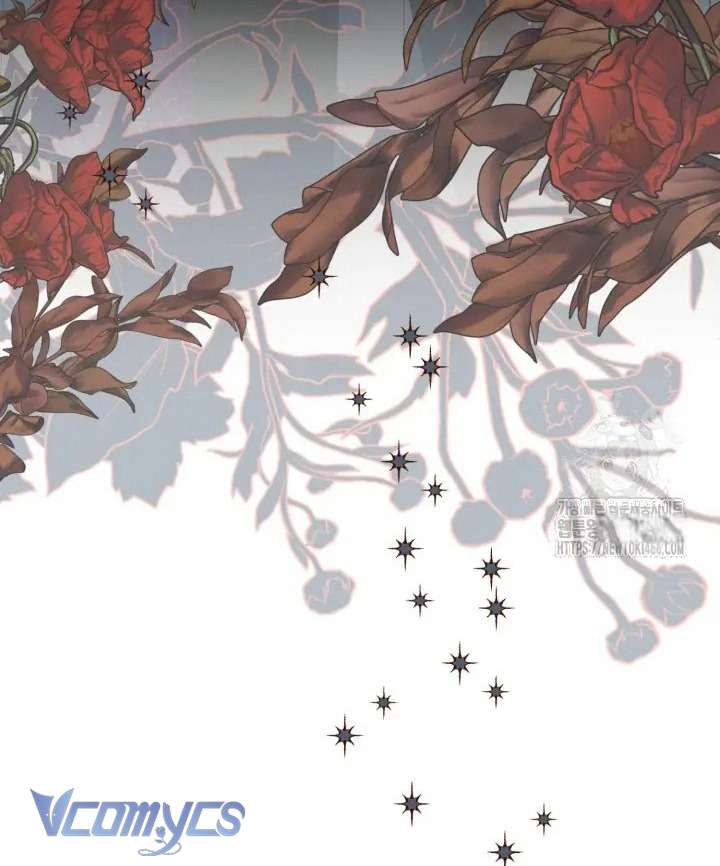 Sự Điều Trị Đặc Biệt Của Tinh Linh Chapter 95 - Trang 4