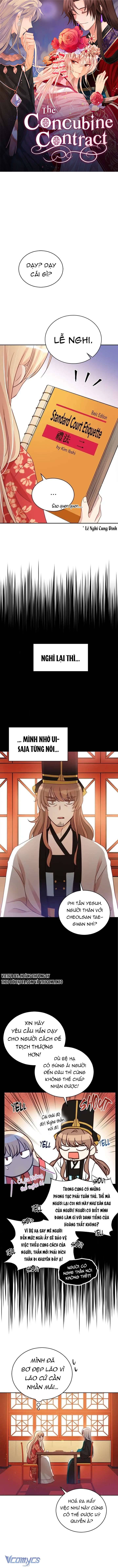 Ái Phi Khế Ước Chapter 71 - Trang 4