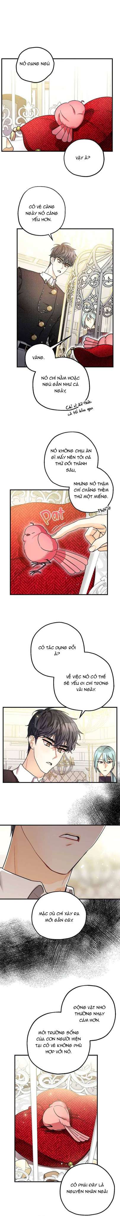 Liều Thuốc An Thần Của Bạo Chúa Chapter 7 - Trang 4