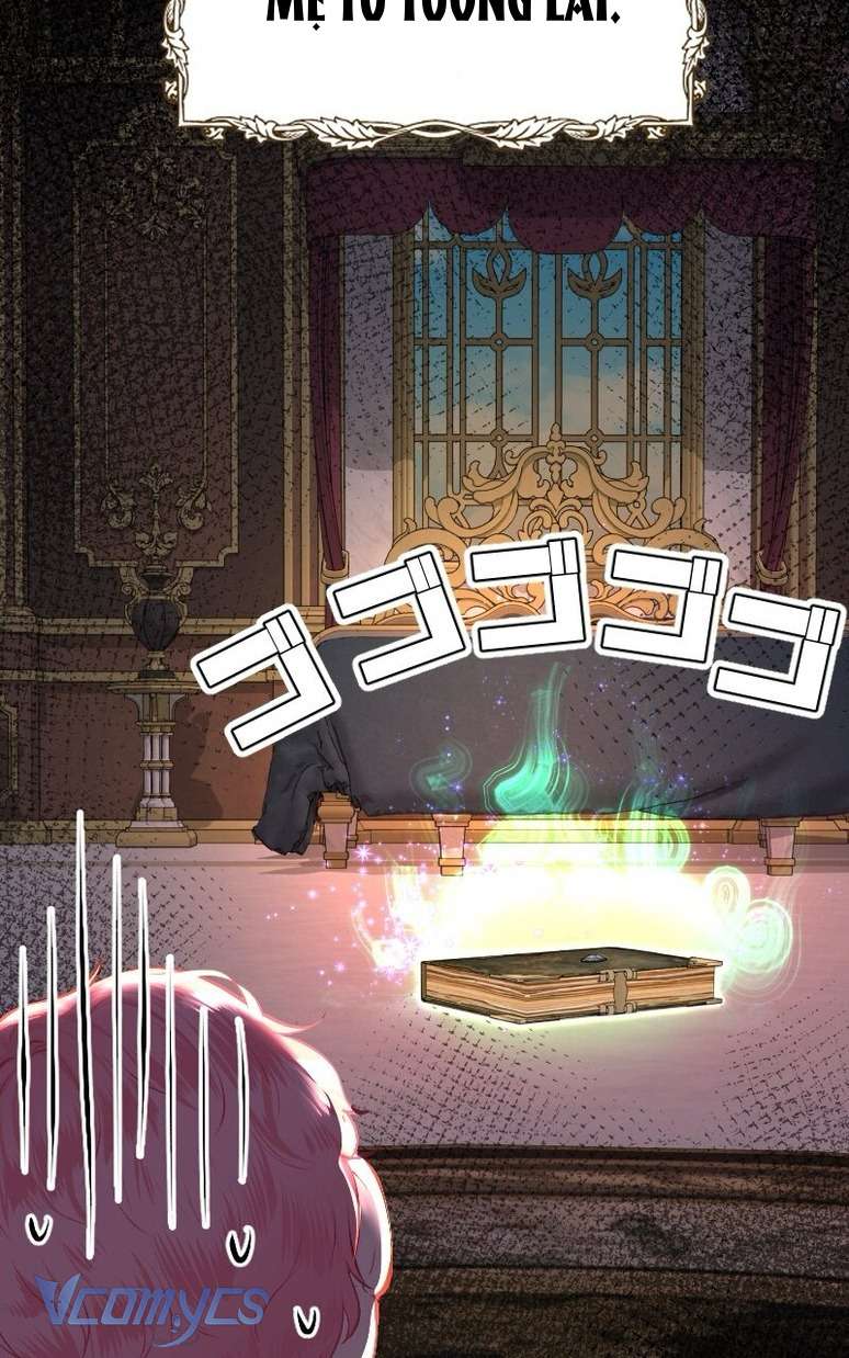 Sau Này Họ Sẽ Sinh Ra Tôi Chapter 2 - Trang 4