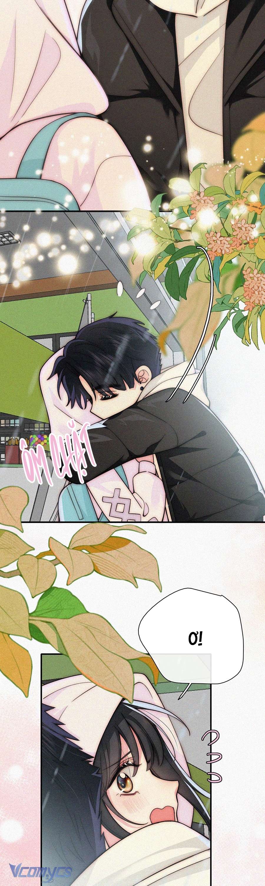 Một Mực Cưng Chiều Chap 53 - Trang 2