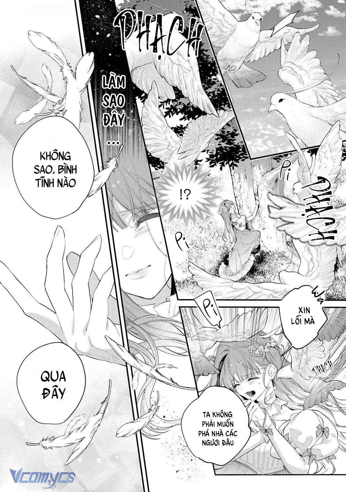 Hoa Hồng Ẩn Giấu Sao Băng Chapter 11 - Trang 4