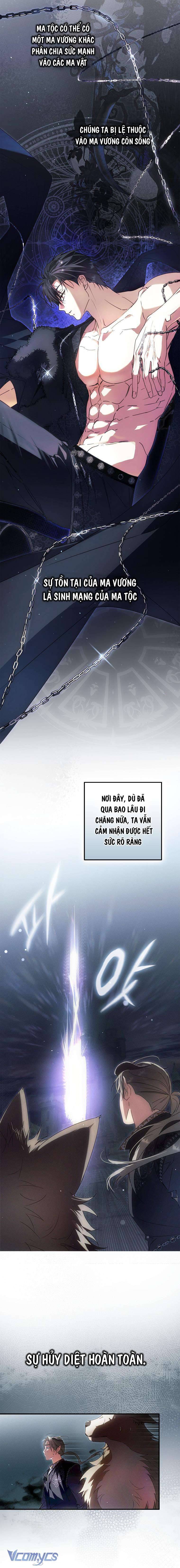 Các Nam Chính Đã Bị Nữ Phụ Cướp Mất Chap 29 - Trang 3