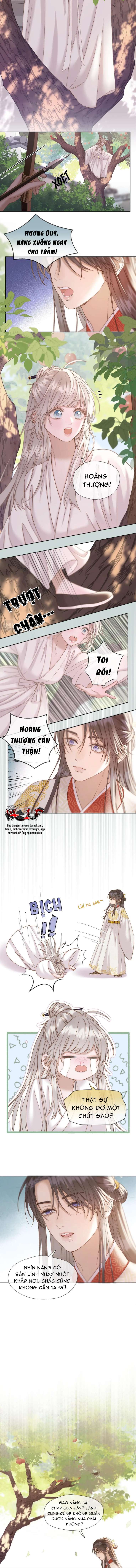 Livestream Trong Lãnh Cung Chap 37 - Trang 2