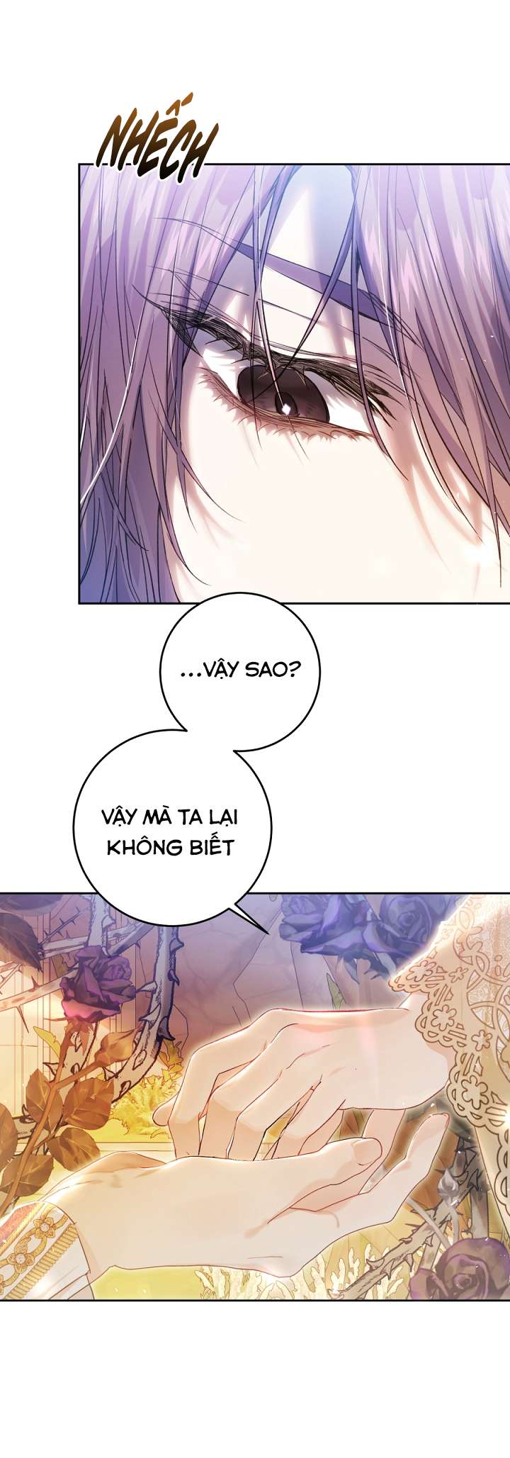 Ác Nữ Chỉ Là Một Con Rối Chap 70 - Trang 2