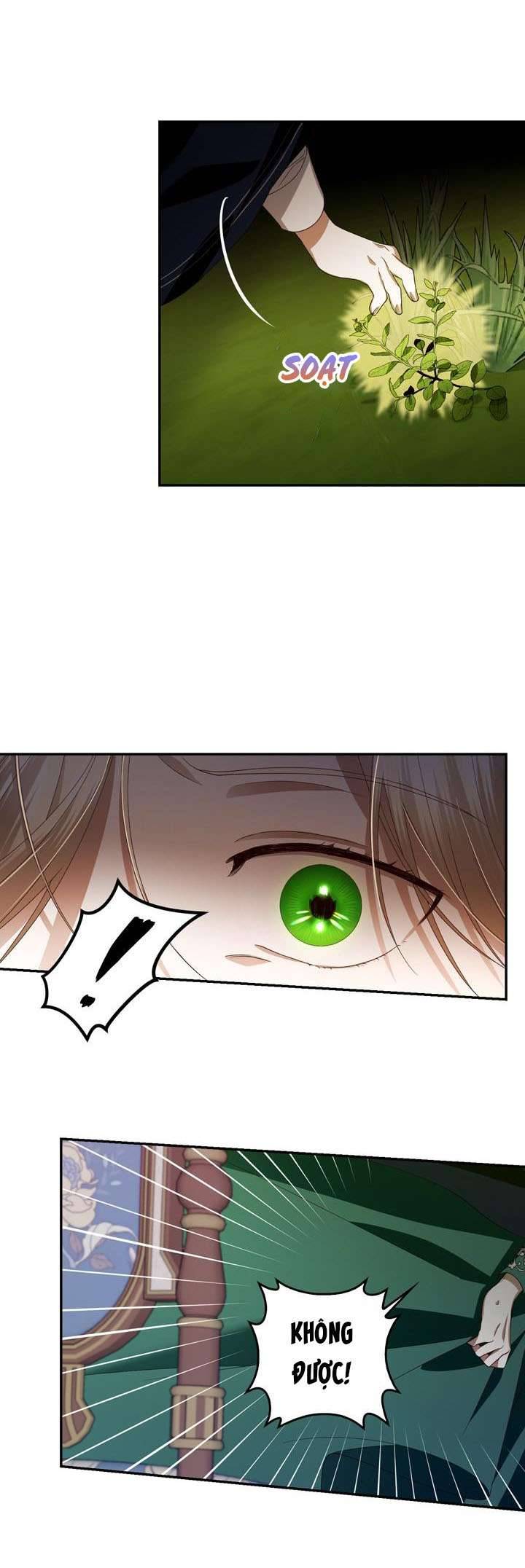 Phương Pháp Che Giấu Đứa Con Của Hoàng Đế Chapter 6 - Trang 4