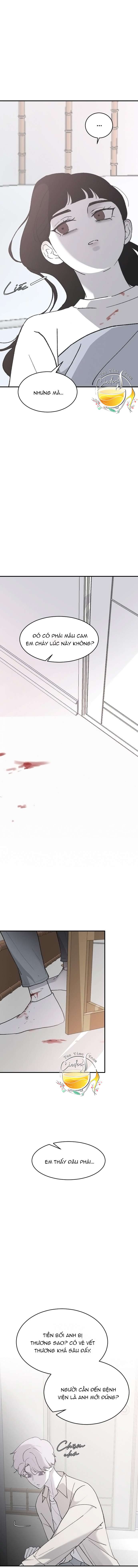 Ba Anh Trai Cực Phẩm Của Tôi Chap 29 - Trang 3