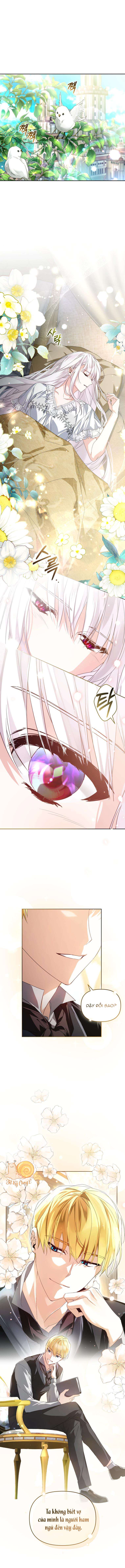 Tôi Rơi Vào Vòng Tay Của Kẻ Điên Rồ Chap 4 - Trang 3