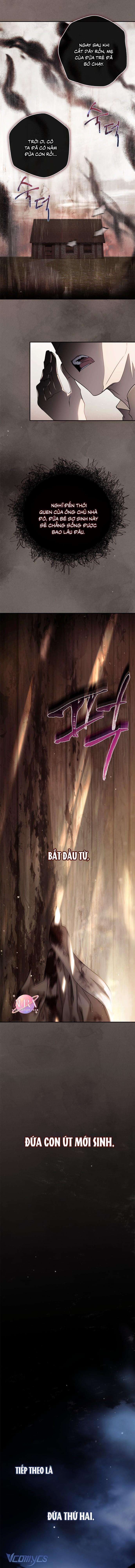 Nữ Hầu Bí Mật Của Nhà Bá Tước Chap 1 - Trang 2