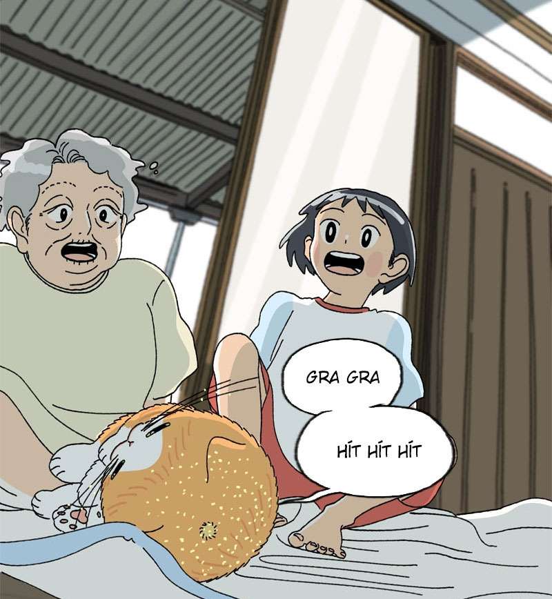 Chú Mèo Tata Chapter 2 - Trang 3