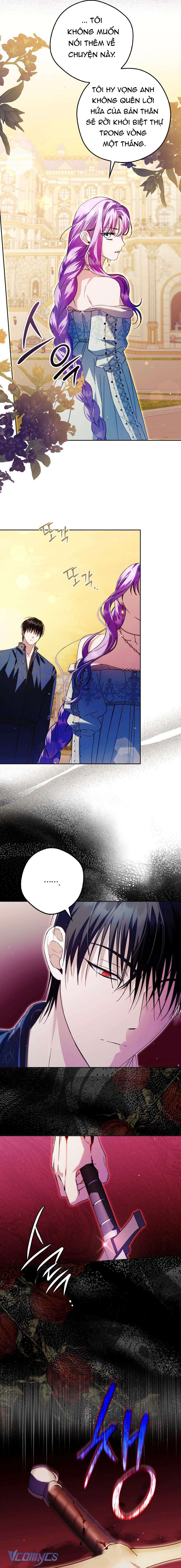 Các Nam Chính Đã Bị Nữ Phụ Cướp Mất Chap 22 - Trang 3