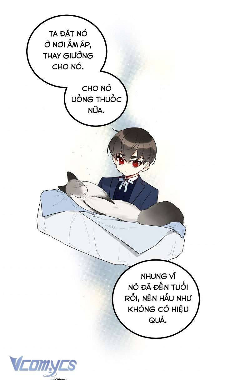 Phương Pháp Trở Thành Con Gái Của Người Hùng Bóng Đêm Chap 4 - Trang 2