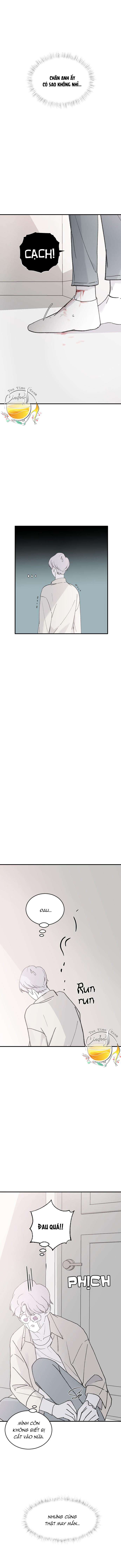 Ba Anh Trai Cực Phẩm Của Tôi Chap 29 - Trang 3