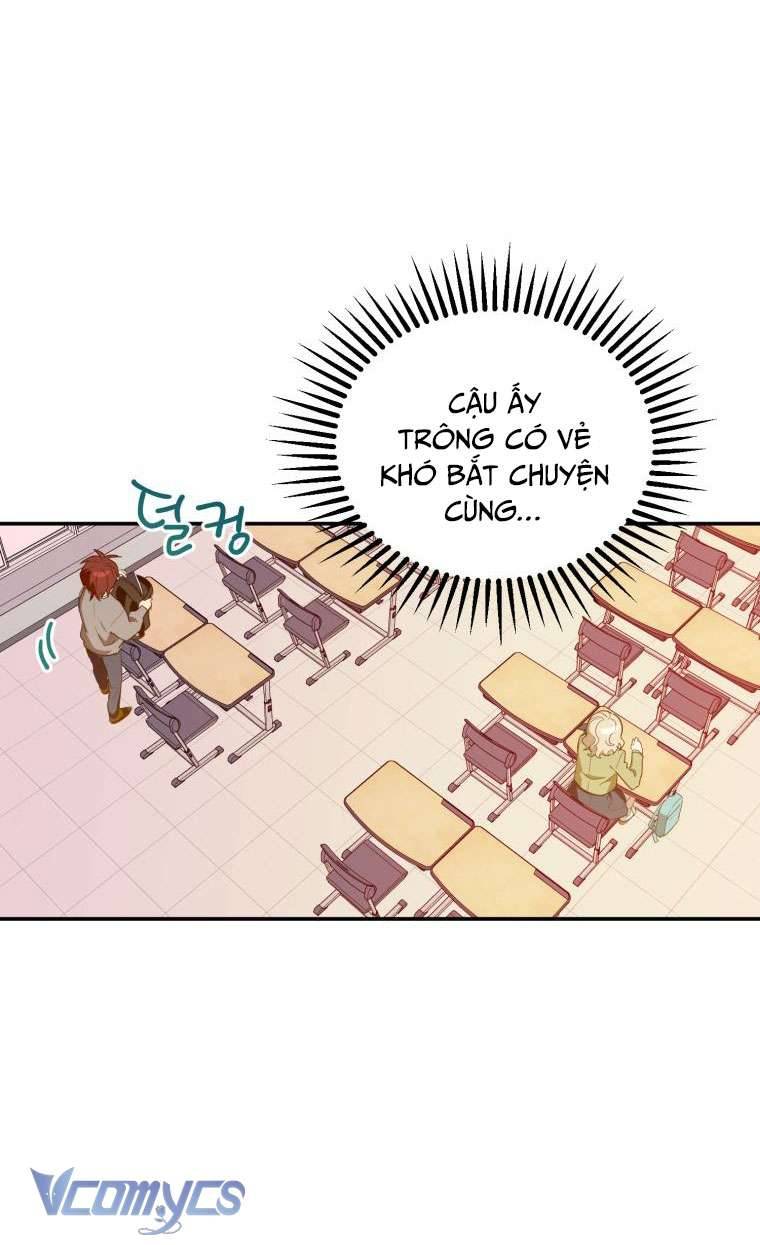 Điều Ước Sao Băng Chap 2 - Trang 4